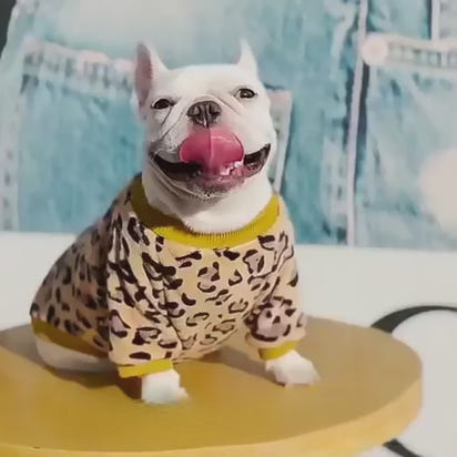 Autumn Winter Warm Pajamas Jacket for Puppies